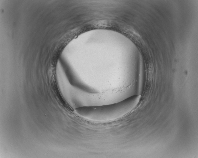X0000058800029200510211850