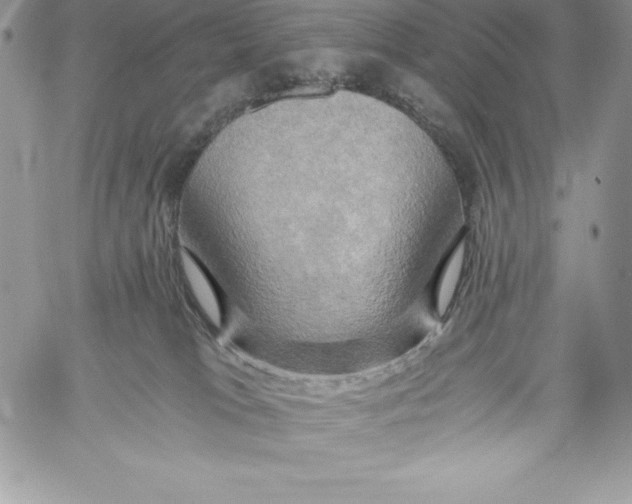 X0000058800037200510211850