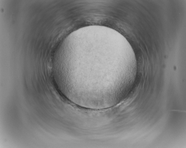 X0000058800040200510211850