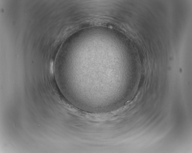 X0000058800041200510211850