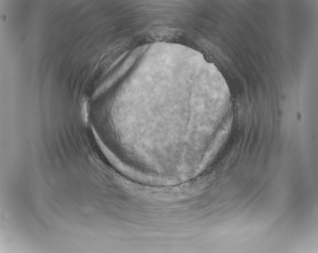 X0000058800042200510211850