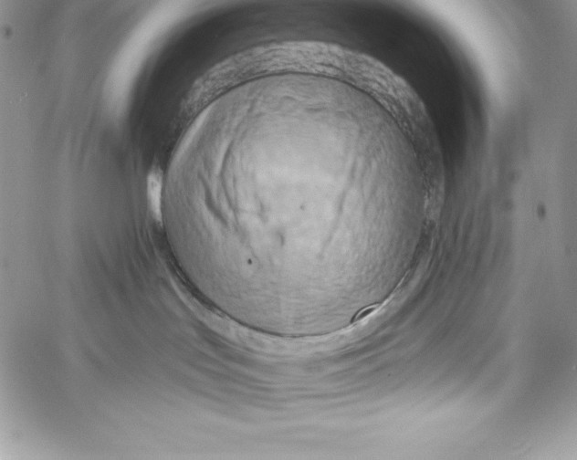 X0000058800047200510211850
