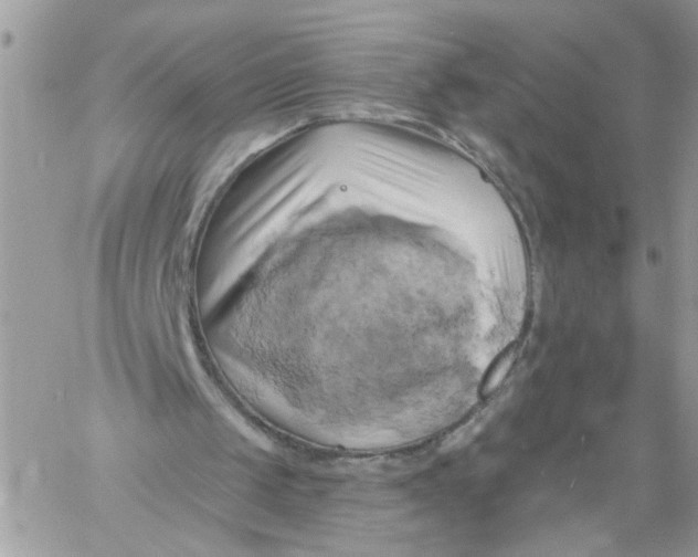 X0000058800049200510211849