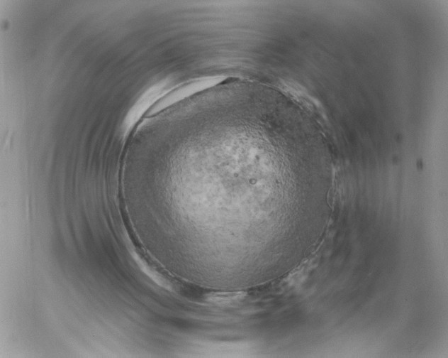 X0000058800051200510211849
