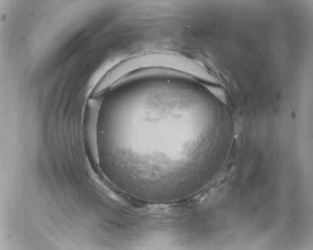 X0000058800052200510211849