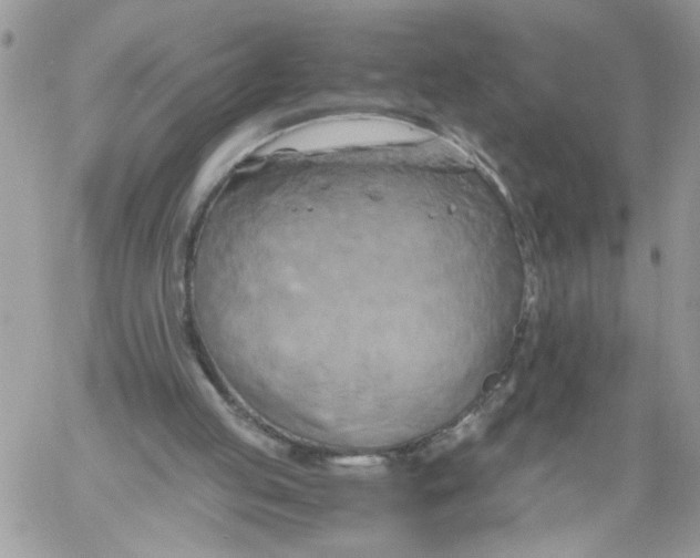 X0000058800053200510211849