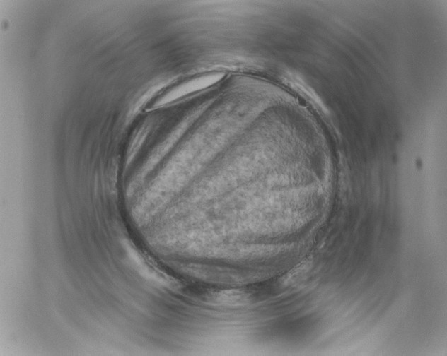 X0000058800058200510211849