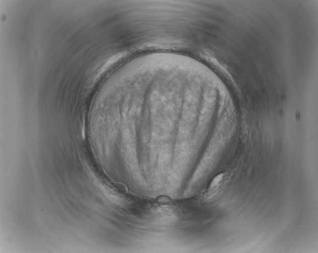 X0000058800062200510211849