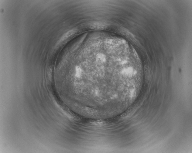 X0000058800071200510211849