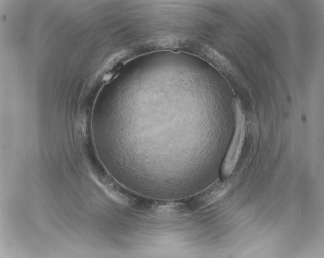 X0000058800072200510211849