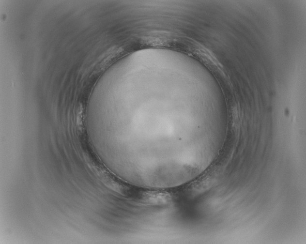 X0000058800073200510211849