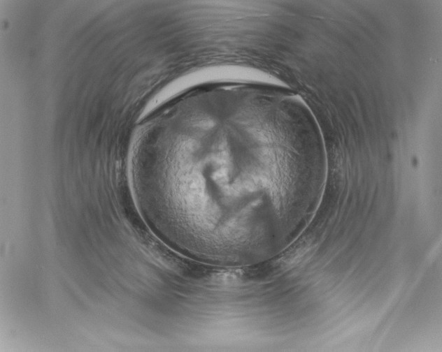 X0000058800080200510211850