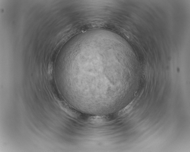 X0000058800082200510211850