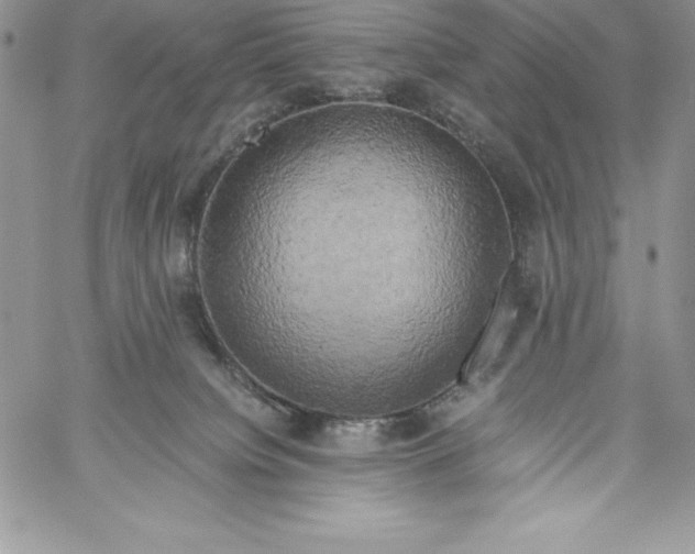 X0000058800084200510211850
