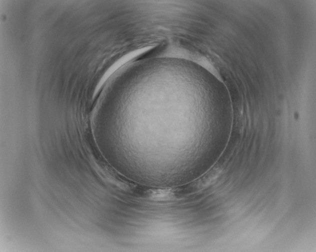 X0000058800088200510211850