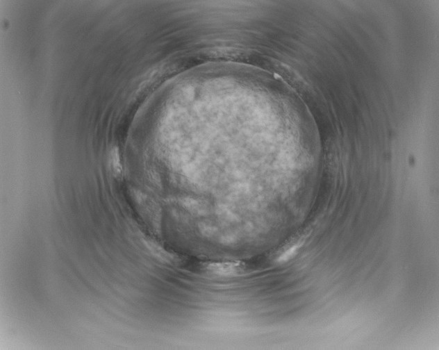 X0000058800089200510211850