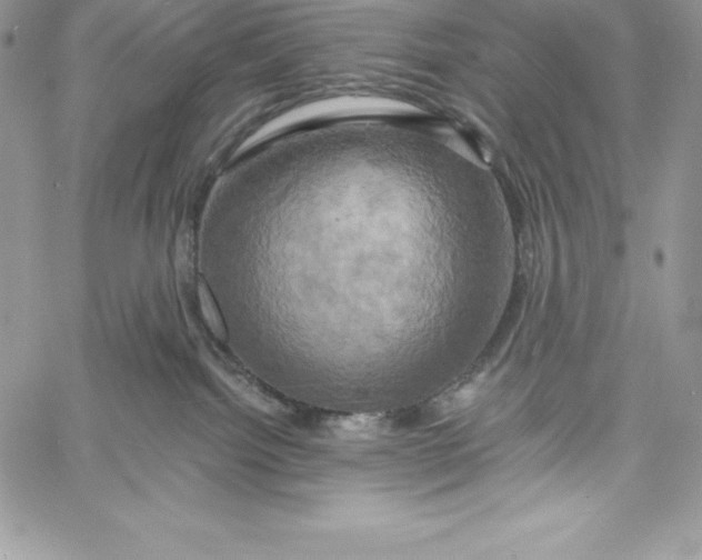 X0000058800092200510211850