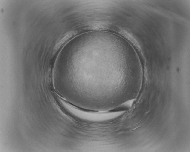 X0000058800105200510211849