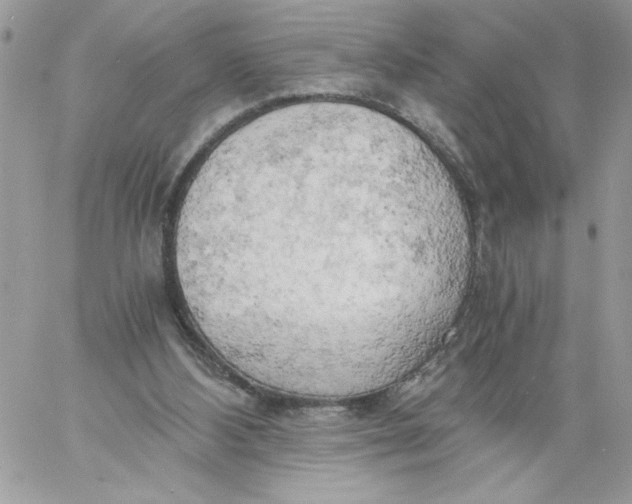 X0000058800108200510211849