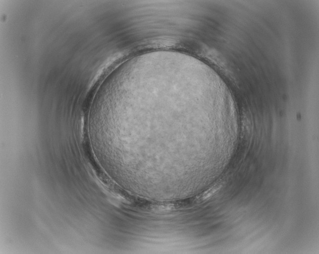 X0000058800110200510211849