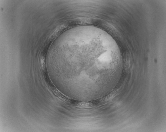 X0000058800123200510211849