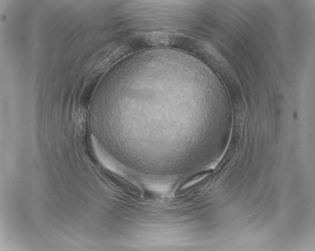 X0000058800125200510211849