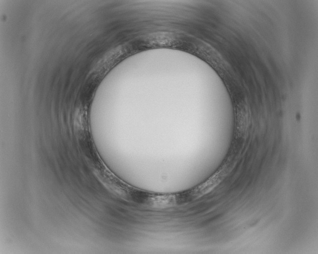 X0000058800126200510211849