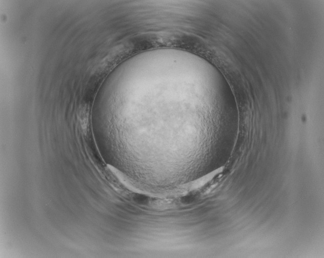 X0000058800129200510211848