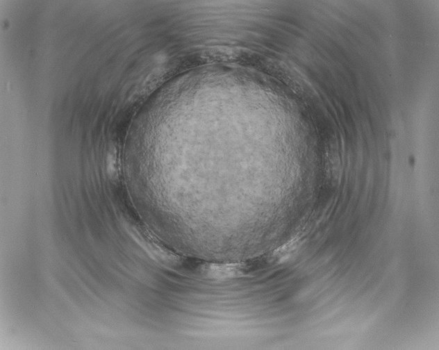 X0000058800134200510211848
