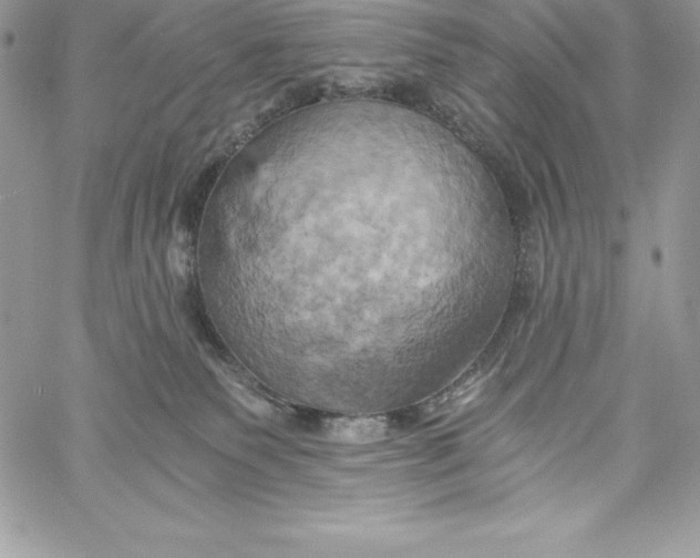 X0000058800135200510211848