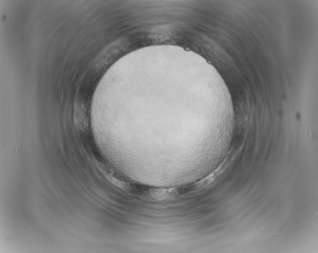 X0000058800136200510211848