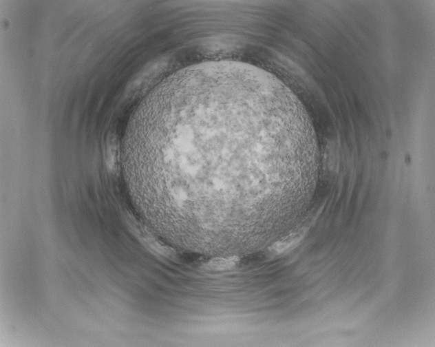 X0000058800138200510211848