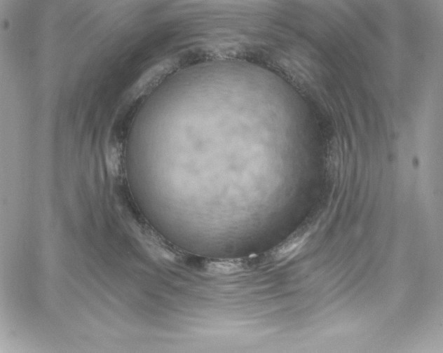X0000058800139200510211848