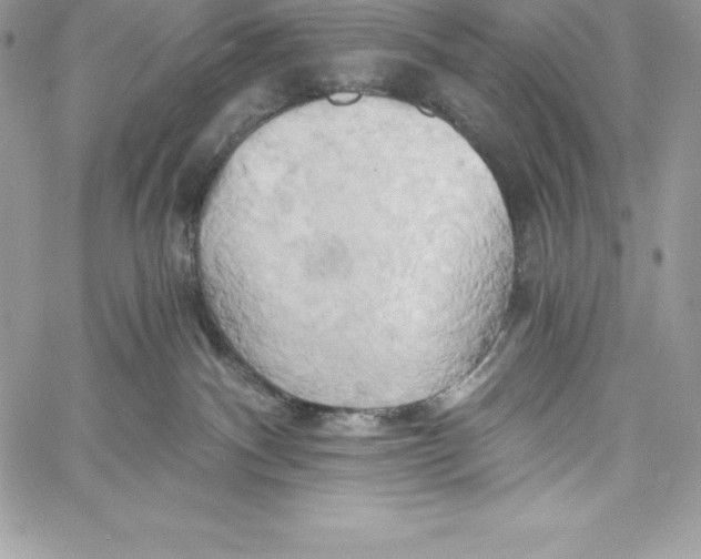 X0000058800140200510211848