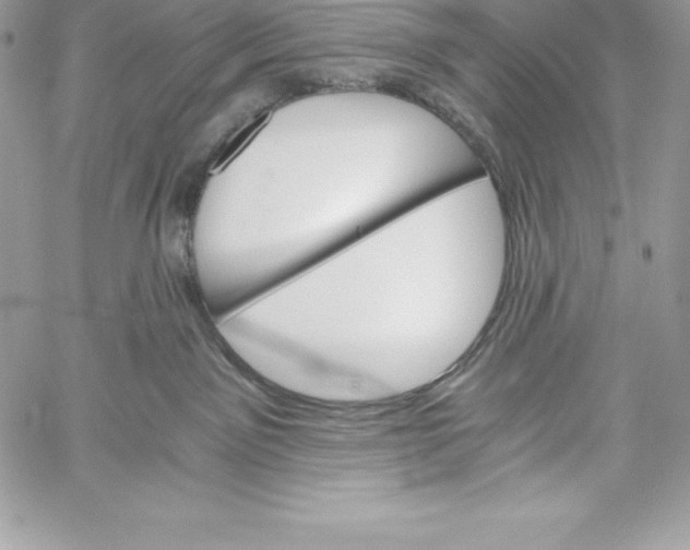X0000058800141200510211848