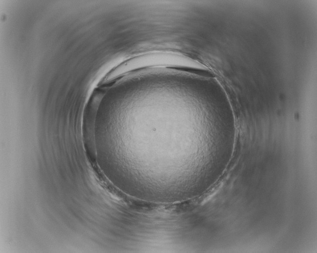 X0000058800148200510211847