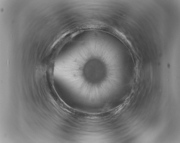 X0000058800154200510211848