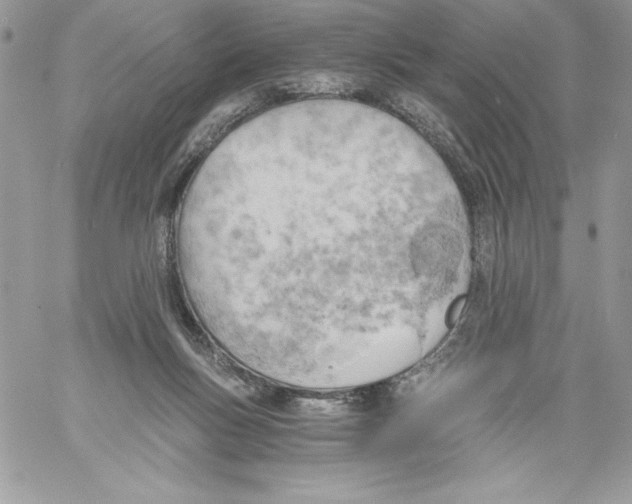 X0000058800167200510211848