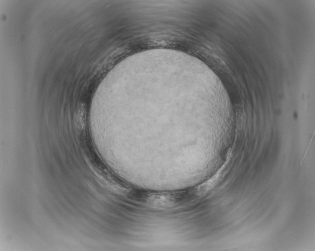 X0000058800174200510211848
