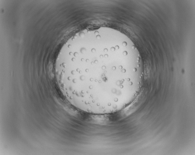 X0000058800187200510211848