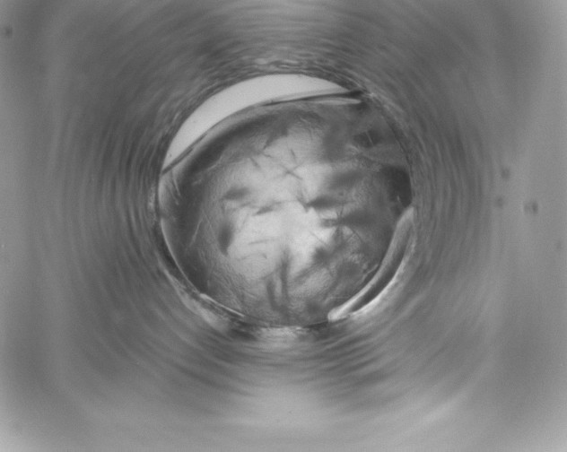 X0000058800192200510211848