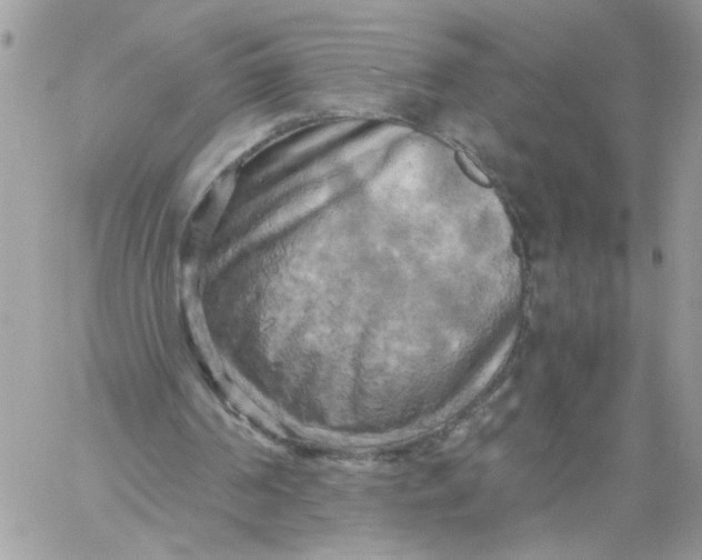 X0000058800194200510211847