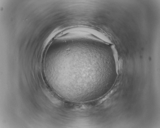 X0000058800195200510211847