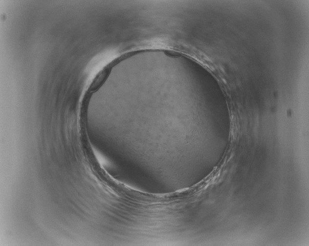 X0000058800200200510211847