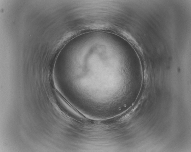 X0000058800201200510211847