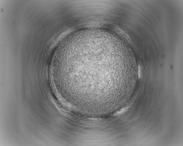 X0000058800205200510211847