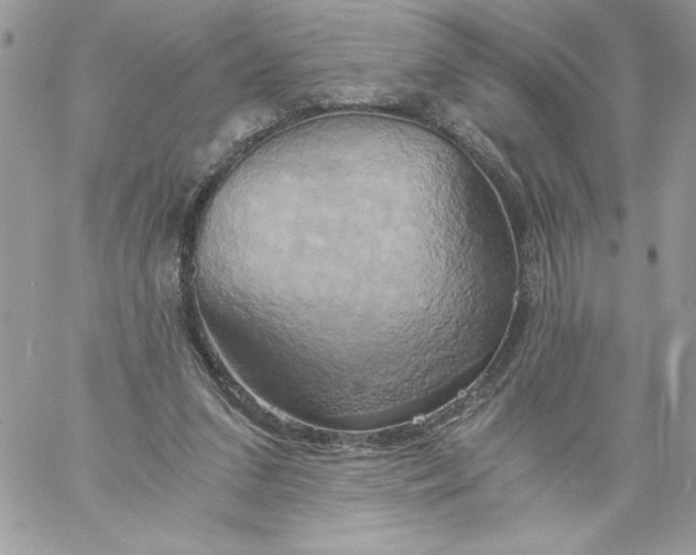 X0000058800207200510211847