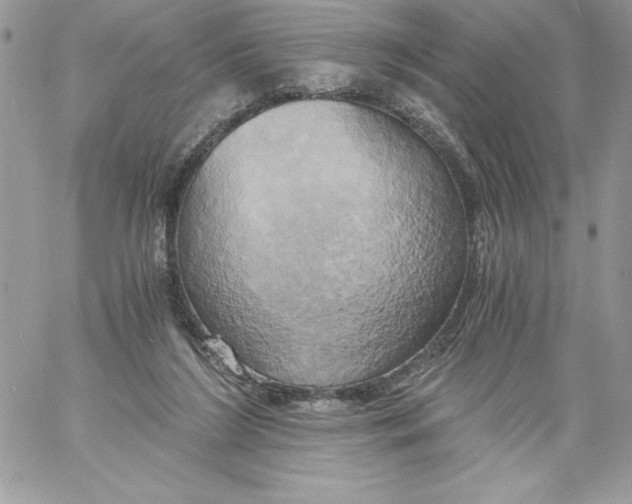 X0000058800212200510211847