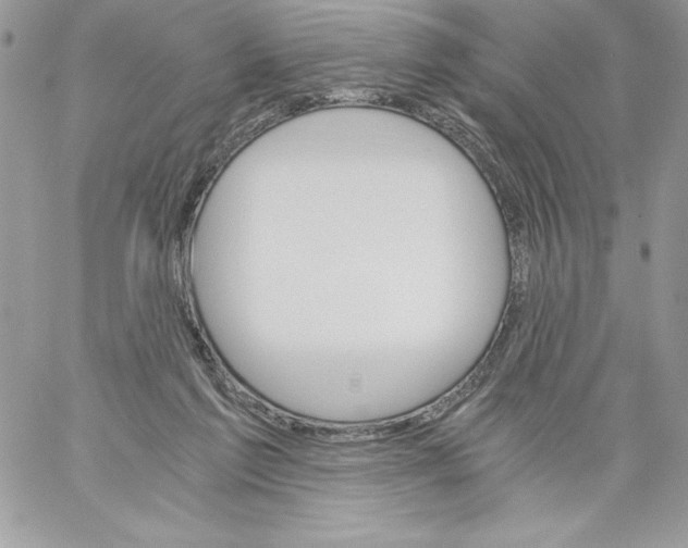 X0000058800213200510211847