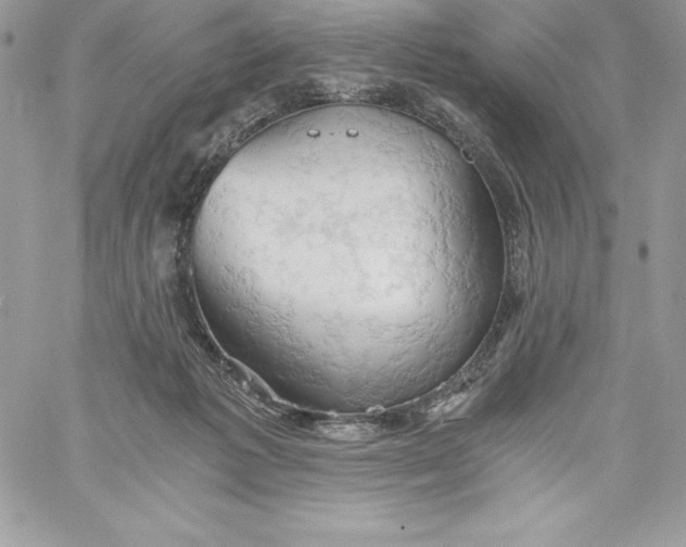 X0000058800221200510211847